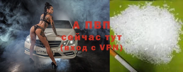 соль ск Белокуриха