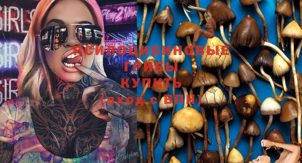 соль ск Белокуриха